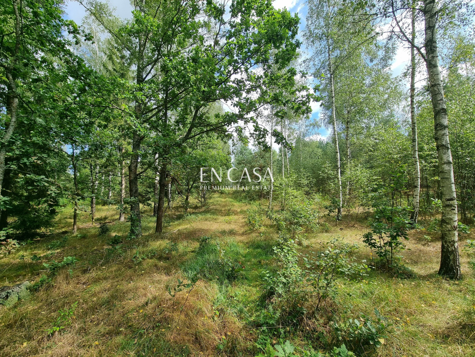 Plot Sale Orzyny 1